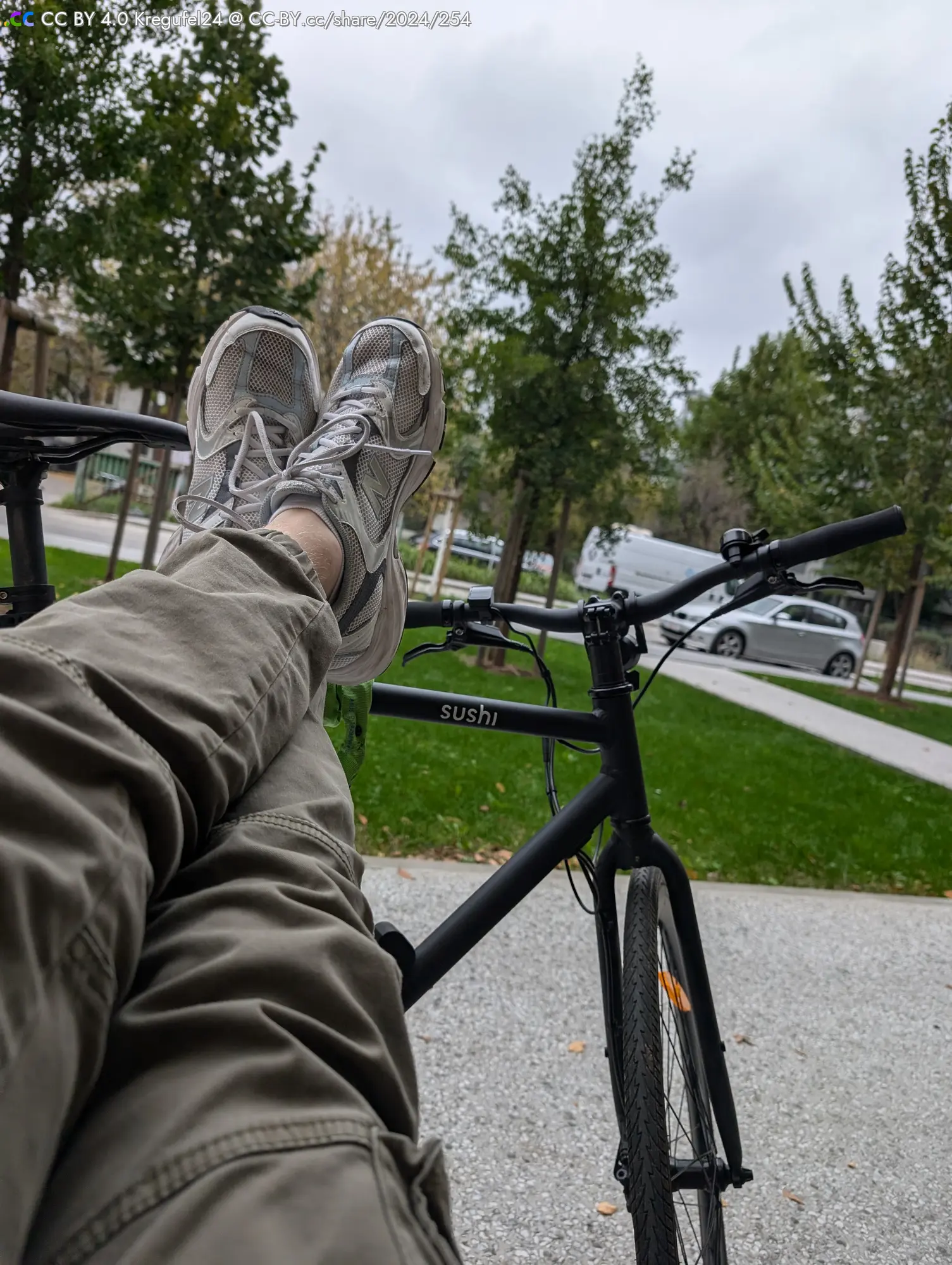 Füße in grauen Turnschuhen auf einem Fahrrad mit schwarzem Rahmen, im Hintergrund Bäume und grauer Himmel.