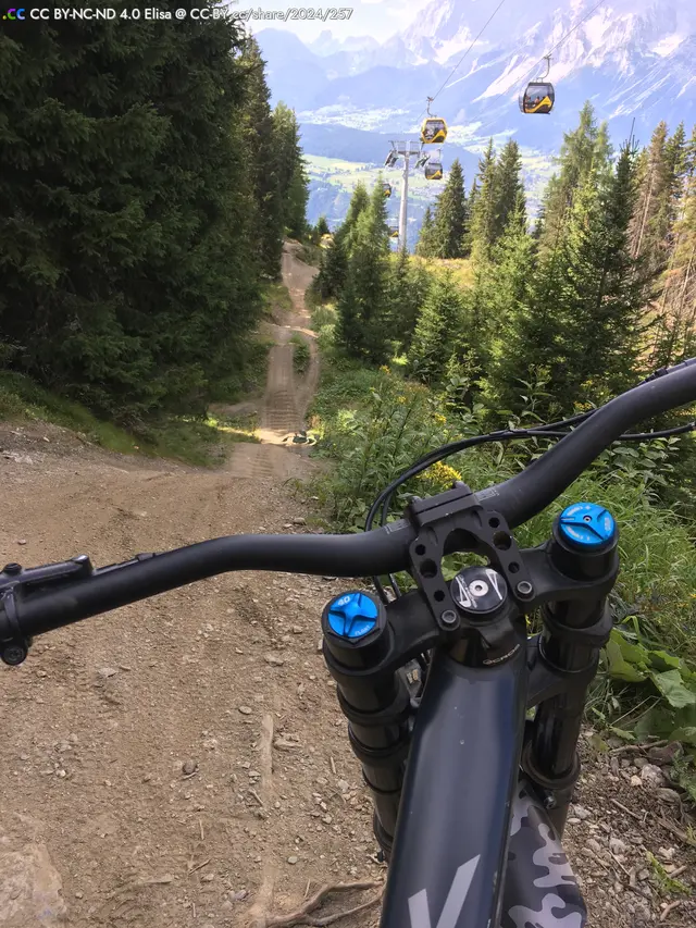 Blick auf einen Trail, gesehen von einem Mountainbike. Im Hintergrund sind Gondeln und Berge sichtbar, umgeben von Bäumen.